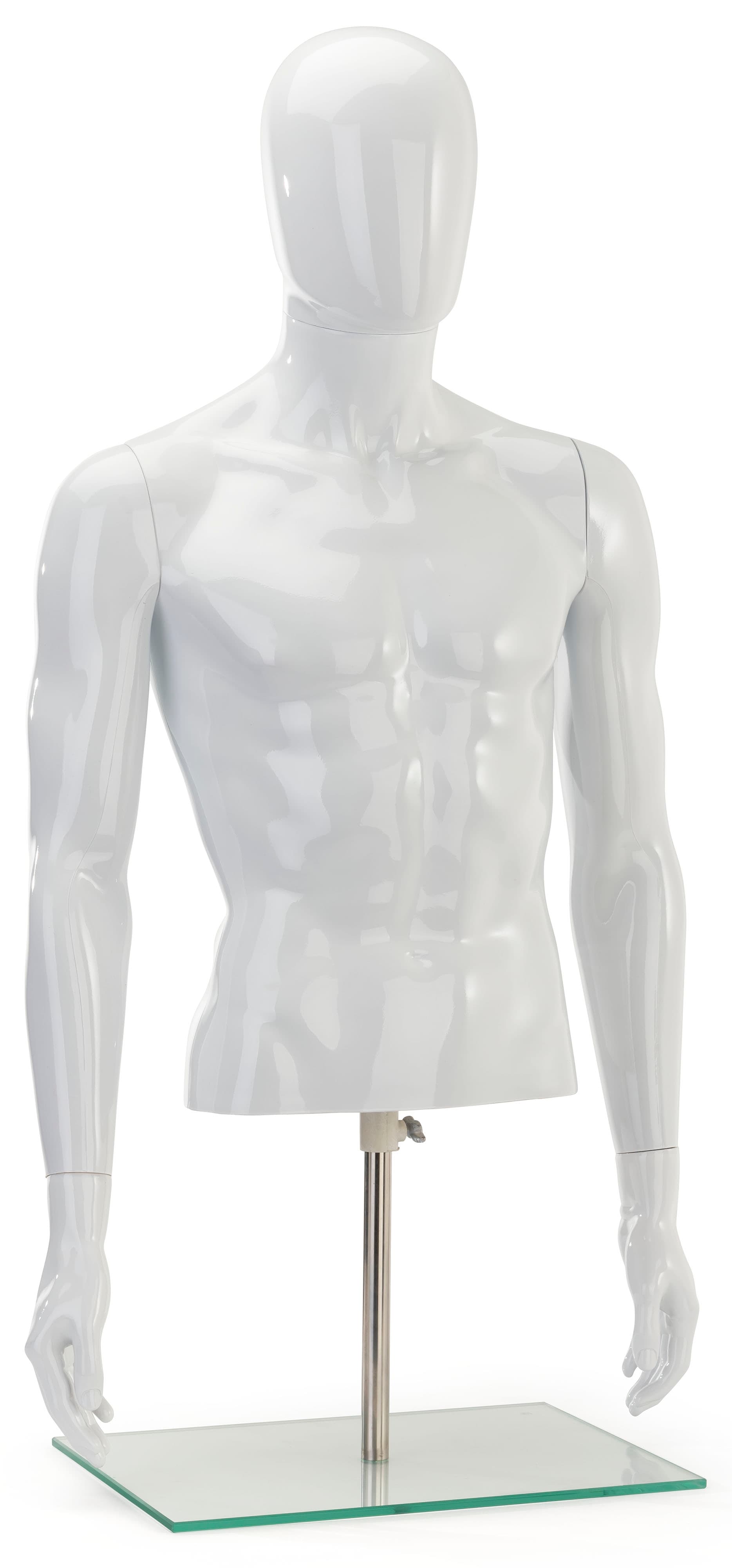 Male Torso Mannequin