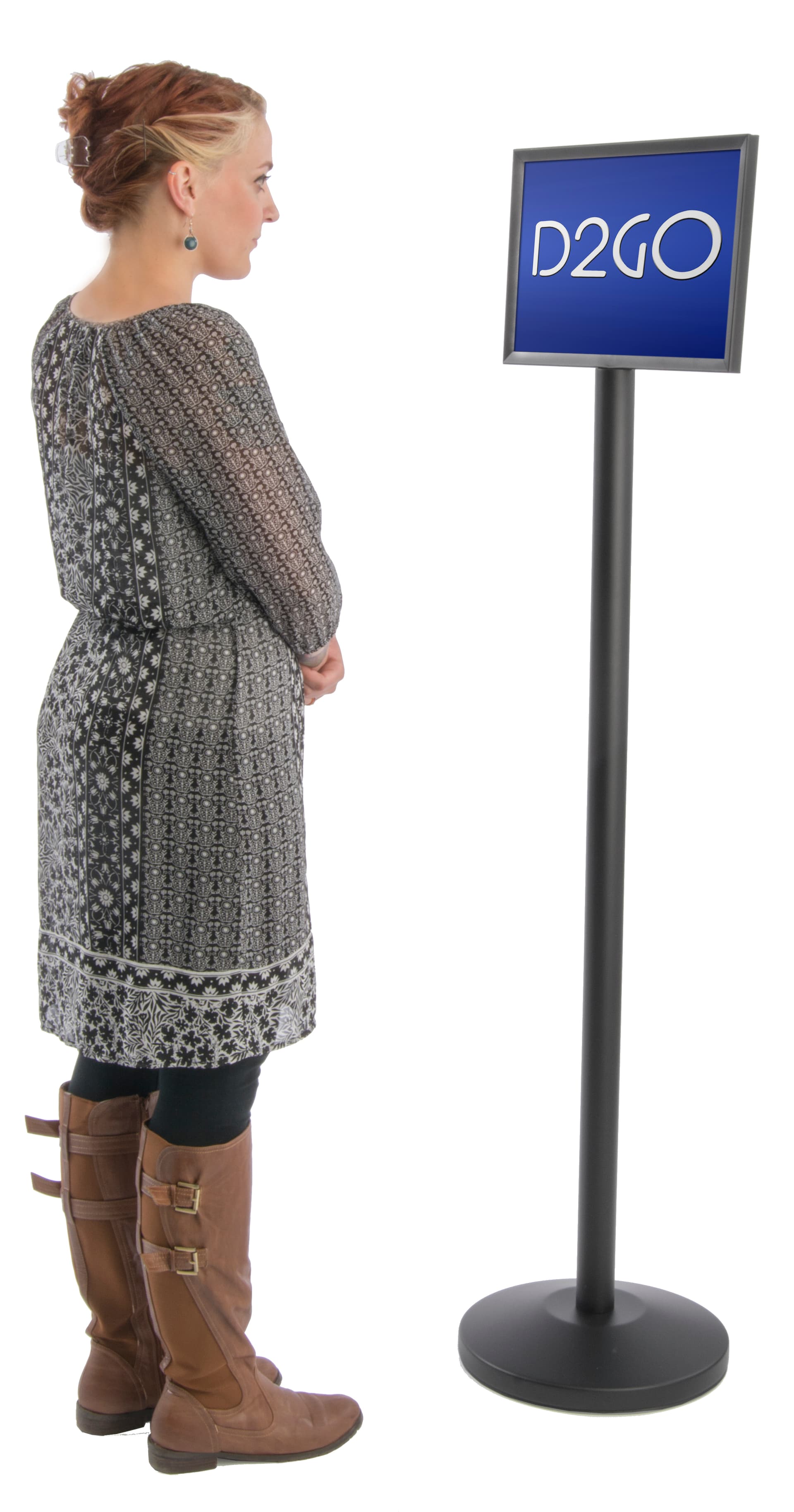 Black Stanchion with Sign Frame 