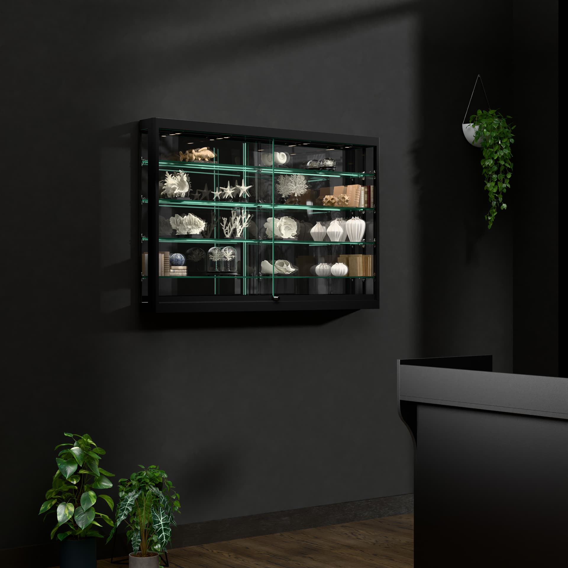 LED wall showcase cabinet mounted to a wall