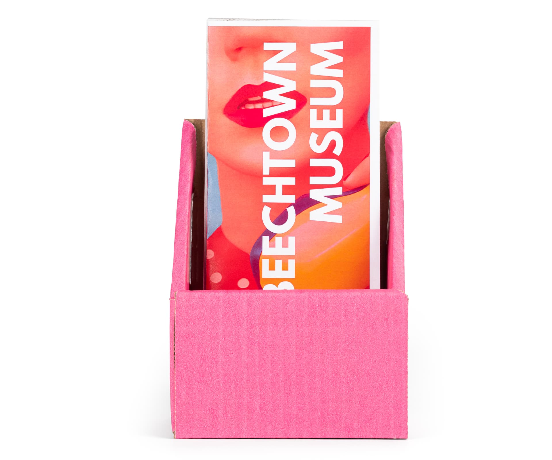 Disposable cardboard brochure holders