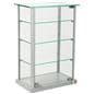 Glass Countertop Display Case