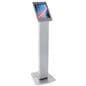 Secure locking iPad ADA compliant POS enclosure