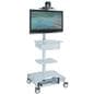 Hospital Computer Cart Supports Single 32" Display 