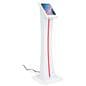Edge-lit iPad kiosk with LED light strip 