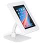 Locking anti-theft multi-mount iPad tablet stand