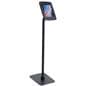 iPad Retail Kiosk with ABS Plastic