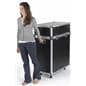 Wheeled Display Case
