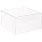Clear Acrylic Cubes with Medium 4 Inch Tall Riser