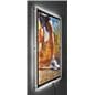 Silver Trim 24” x 36” Crystal LED Light Box