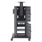 audio visual cart