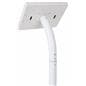 iPad foam board banner display for retail environments