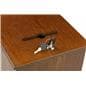 Locking Charity Box