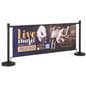 Replacement graphic for BSTB2CPR_STANCHION