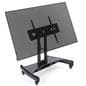 Confidence monitor stand with wheels
