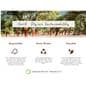 Infographic outlining the cork's sustainability. Cork is renewable, can be recycled and is entirely biodegradable, and durable due to it's unique honeycomb cellular structure