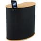 Trade Show Stand with iPad Mount in Black
