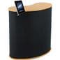 Trade Show Stand with iPad Mount in Silver