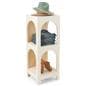 Arch display shelf with modular design