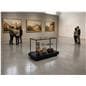 Illuminated display case​ being utilized inside a museum space