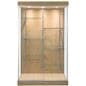 LED glass display case with split shelves
