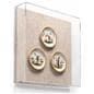 Square Shadow Box Gallery Frame with Antiques Display