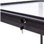 Full vision display case with lock