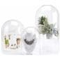 Baseless eighth inch thick glass display cloche
