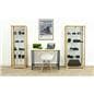 tall glass display cabinet for valuable collections