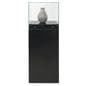 Glass-top pedestal display case with with chrome embellishment