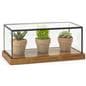 Rustic glass countertop showcase with wooden base