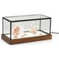 Small LED glass tabletop display box