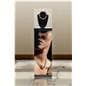 LED Pedestal in retail environment