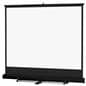 Retractable Projector Screen