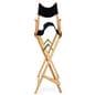 Custom directors chair with folding frame 