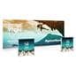 Replacement Graphics for EX20SEGSET SEG light box display features SEG fabric graphics