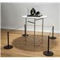 Museum Display using 8-Barrier Black Low Profile Stanchion System