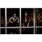 Lighted birch tree suited for indoor or outdoor use