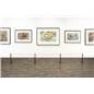 Floor mount gallery stanchion with minimal aesthetic