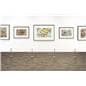Clean and subtle fixed post art gallery stanchion for showrooms