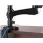 Desk Mount Dual Monitor Arm with Wire Organization