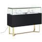Retail glass display counter with elegant gold base