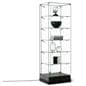 Frameless LED Showcase with Black Base