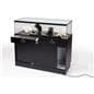 Jewelry Counter
