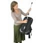 Walking flag backpack set with adjusting pole