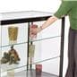Glass Counter: Tempered Glass Display Case