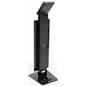 Angled iPad Stand with Graphics