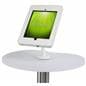 Trade Show iPad Display Podium