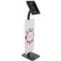Custom Branded iPad Security Kiosk with Black Finish