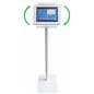2-in-1 Kiosk For Floor or Countertop