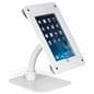 Wall/counter mount iPad frame with gooseneck arm